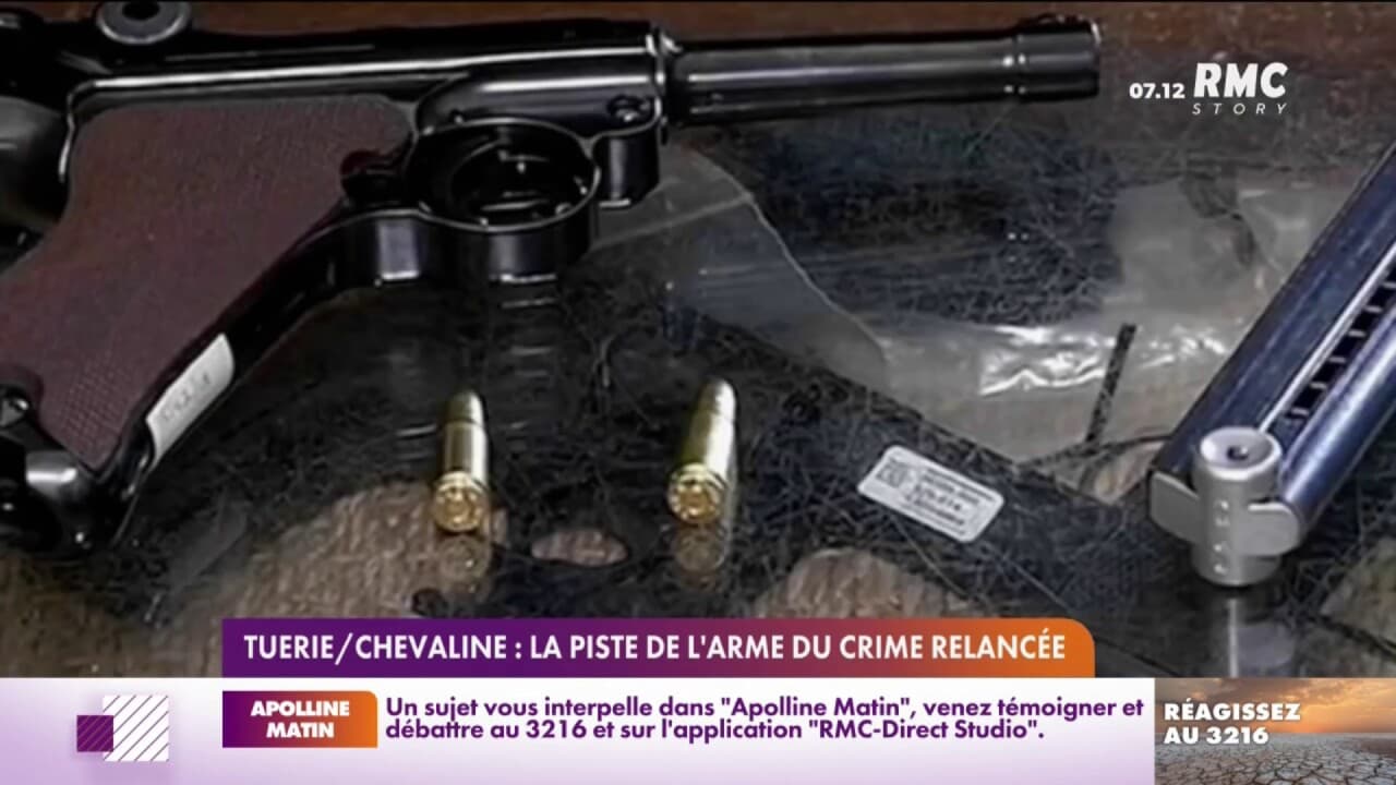 Found Pistol May Solve 2012 French Murder Mystery Found Pistol May Solve 2012 French Murder Mystery