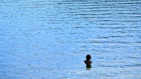 Baignade dans le lac de Gérardmer lors d'un épisodecaniculaire, le 3 août 2022 dans les Vosges