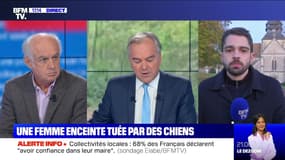 Aisne: une femme enceinte tuée par des chiens (1/2) - 20/11