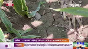 Sécheresse: l'État accusé de ne pas en faire assez pour préserver les ressources en eau