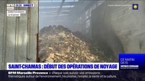 Bouches-du-Rhône: début des opérations de noyage à Saint-Chamas