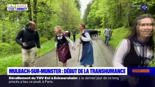 Mulbach-sur-Munster: la transhumance est lancée