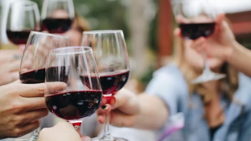 Dernière chance pour saisir ce lot de 6 bouteilles de vin de Bordeaux, le prix est affolant 