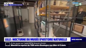 Les Ch'tites Sorties du samedi 28 janvier 2023 - Soirée nocturne au musée d'histoire naturelle