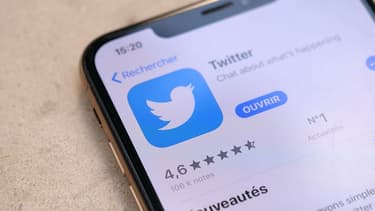 Twitter compte près de 10 millions de membres en France.