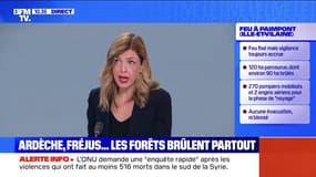 Incendie : quatre départements en vigilance orange - 18/07