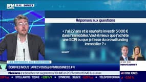 Les questions : Investir dans un cheptel bovin, du sérieux ? - 16/02