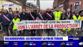 Nord: un millier de manifestants à Escaudoeuvres contre la fermeture de Tereos