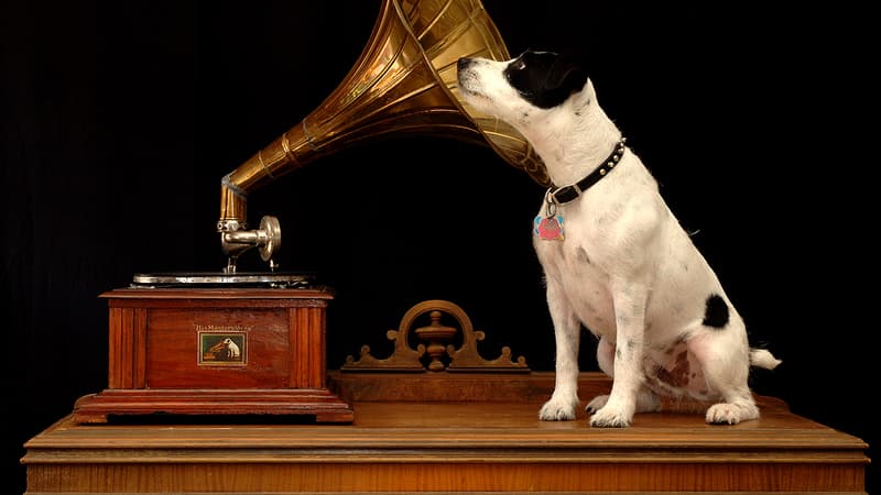 Quelle musique les chiens préfèrent-ils? 
