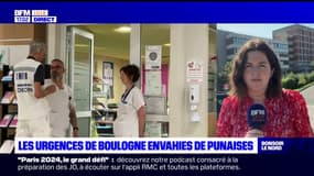 Boulogne-sur-Mer: des punaises de lit au service des urgences