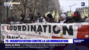 Paris: plusieurs centaines de personnes ont manifesté contre la future loi sur l'immigration 