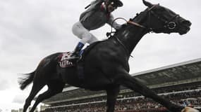 Trêve a remporté le Qatar Prix de l'Arc de Triomphe