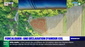 Forcalquier: une déclaration d'amour qui ne passe pas inaperçue