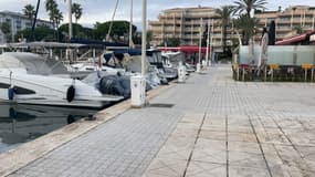 Les commerçants du port Camille Rayon à Golfe Juan sont remontés après le projet de hausse de la redevance. 