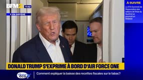 "Une victoire écrasante": Donald Trump félicite le président Javier Milei qui remporte les législatives de mi-mandat