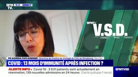 Covid: 13 mois d'immunité après infection ? - 21/05