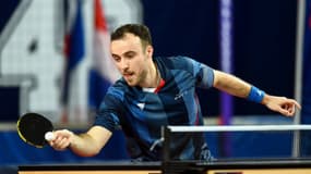 Simon Gauzy 