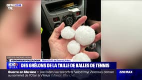 "Des grêles de la taille d'une balle de tennis": la maire de Gannat (Allier) témoigne des dégâts occasionnés par les orages dans sa commune