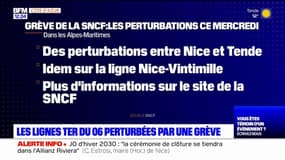 Alpes-Maritimes: des perturbations sur les lignes TER en raison d'une grève