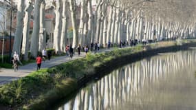 Le canal du Midi à Toulouse en 2014 (image d'illustration)