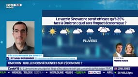 Sylvain Bersinger (BSI conjoncturiste France) : Quelles conséquences d'Omicron sur l'économie ? - 30/12