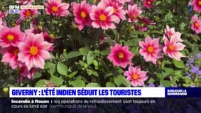 Giverny: la température record attire les touristes