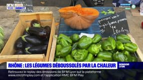 Rhône : les légumes déboussolés par la chaleur