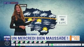 Météo Paris Île-de-France du 10 avril: Du brouillard et de la pluie ce matin