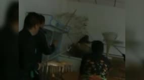 Ce singe a semé la pagaille pendant deux heures dans ce restaurant avant d'être capturé