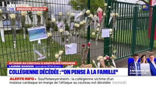 Agression à Souffelweyersheim: des fleurs déposées devant l'établissement de la collégienne