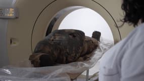 Une momie égyptienne enceinte découverte en Pologne