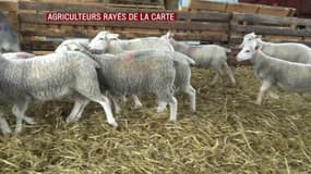 Luc, éleveur rayé de la carte des zones défavorisées: "On m'enlève 8.000 euros de subventions"