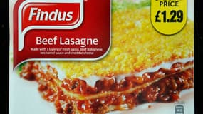 Le gouvernement britannique s'est indigné vendredi après l'aveu fait par le fabricant de produits surgelés Findus que certains de ses produits censés être faits de viande de boeuf contenaient de la viande de cheval. Findus Suède a également rappelé des mi