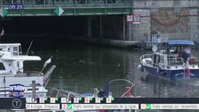 Séries d'été: Au fil de la Seine, à la découverte des espaces maritimes parisiens