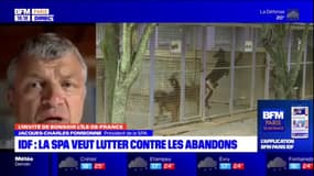 Île-de-France: la lutte de la SPA contre les abandons d'animaux tout l'été