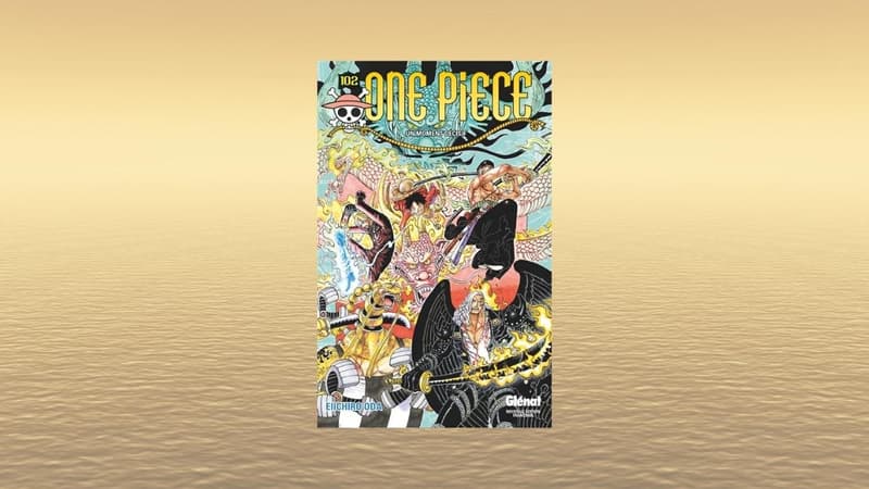 One Piece : le tome 102 est disponible alors n'attendez plus avant qu'il ne soit trop tard !
