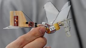 Un drone-colibri (photo) chargé de surveiller les habitations ou un robot-anguille pour inspecter les canalisations figurent parmi les derniers robots inspirés du monde animal présentés par près de 200 "bioroboticiens" venant de 17 pays réunis à Nantes en