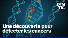 Prix Nobel de médecine: une découverte pour mieux détecter les cancers 