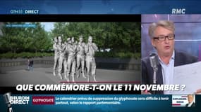 Nicolas Poincaré : Que commémore-t-on le 11 novembre ? - 11/11