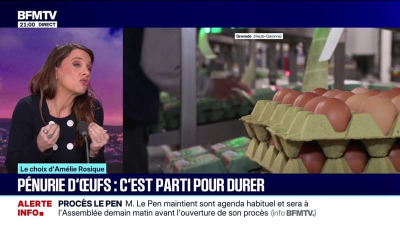 LE CHOIX D'AMÉLIE ROSIQUE - Pénurie d'œufs: c'est parti pour durer