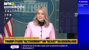 Donald Trump étudie "activement" un "achat" du Groenland selon sa porte-parole Karoline Leavitt