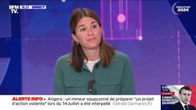 Projet d'attentat : un mineur arrêté à Angers - 13/07