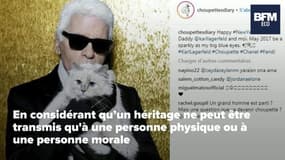 La chatte Choupette de Karl Lagarfeld héritera-t-elle vraiment de sa fortune ?