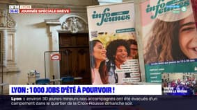 Lyon: 1 000 jobs d'été à pourvoir