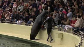 Dernier jour à Marineland, le 5 janvier 2025