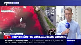 Hugo Clément: "Les Îles Féroé ont franchi la ligne rouge avec ce massacre où près de 1500 dauphins ont été tués en une seule fois"