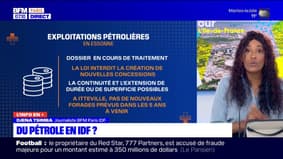 Île-de-France: panorama des gisements pétroliers dans la région 