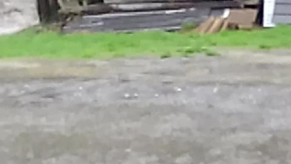 placeholder video