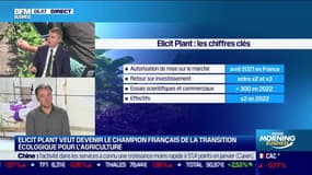 Jean-François Déchant (Elicit Plant) : Elicit Plant aide les agriculteurs à mieux répondre aux sécheresses - 07/02