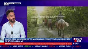 Maxime Eduardo (Naboo) : Naboo gère un réseau de 150 maisons qui permettent aux équipes de se réunir au calme - 08/06
